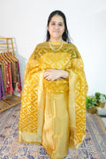 Banarsi Tissue Brocade