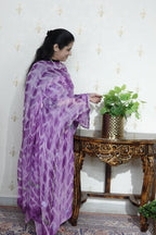 Kashmiri Georgette with Aari work