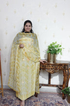 Kashmiri Georgette with Aari work