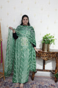 Kashmiri Georgette with Aari work