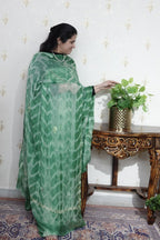 Kashmiri Georgette with Aari work